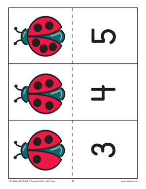Ladybug Color Matchup image